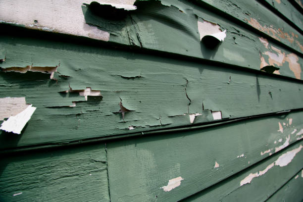 Best Residential Vinyl Siding Installation  in Vineland, NJ