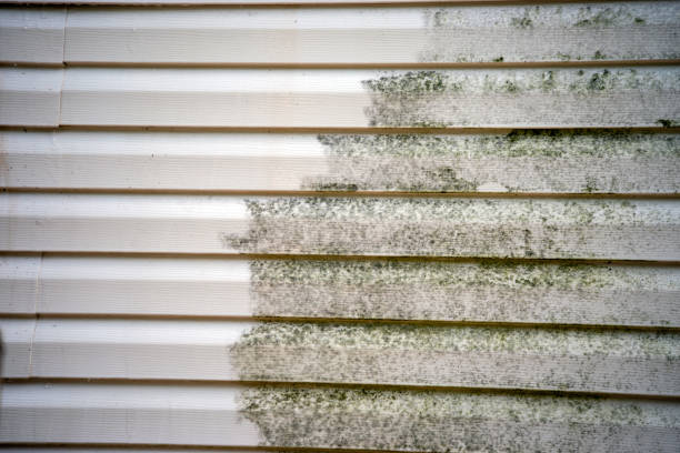 Best Composite Siding  in Vineland, NJ