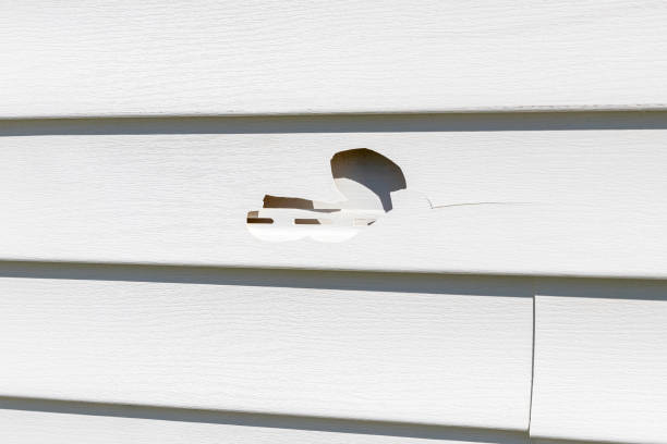 Best Stone Veneer Siding  in Vineland, NJ
