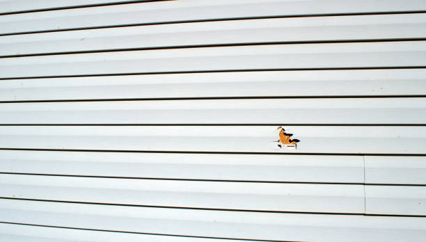 Best Custom Trim and Detailing for Siding  in Vineland, NJ