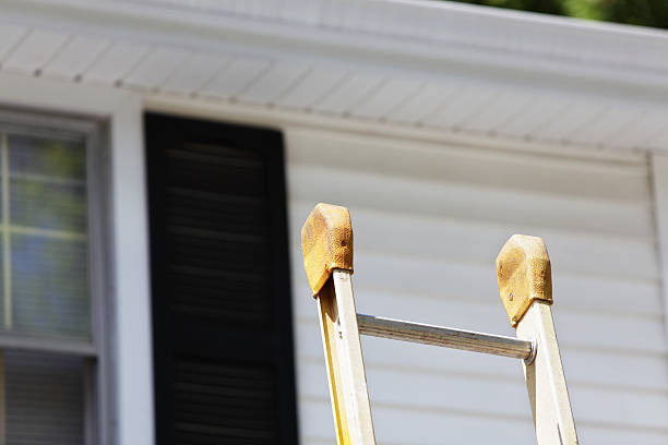 Best Insulated Siding Installation  in Vineland, NJ