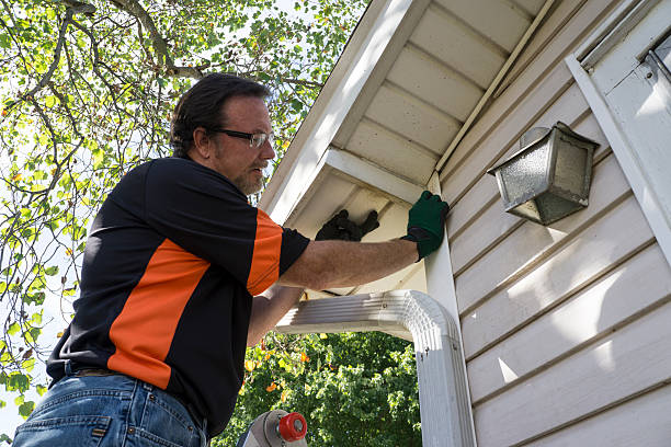 Best Wood Siding Installation  in Vineland, NJ